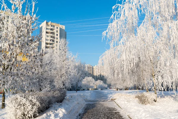 Zasněžené stromy v městě Moskva, Rusko — Stock fotografie