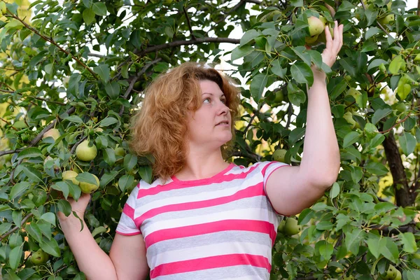 Mujer de mediana edad en un jardín sobre manzanos — Foto de Stock