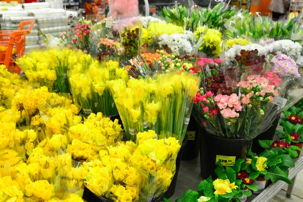 Buquê de flores com um monte de flores diferentes — Fotografia de Stock