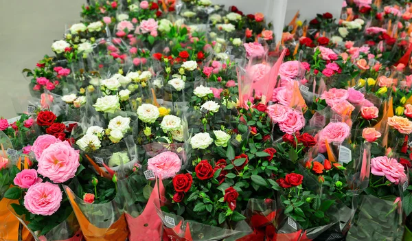 Bouquet di fiori con un sacco di fiori diversi — Foto Stock