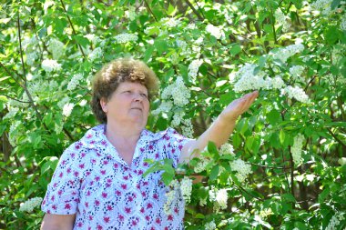 Kiraz çiçekleri ile bahar doğada dalgın yaşlı kadın