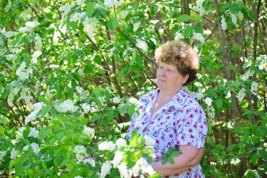 Kiraz çiçekleri ile bahar doğada dalgın yaşlı kadın