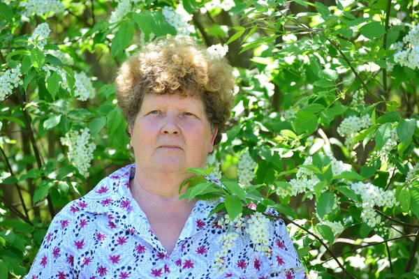 Fundersam äldre kvinna i vår natur med körsbär blommor — Stockfoto