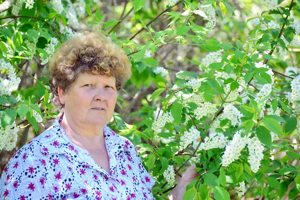 Donna anziana pensierosa nella natura primaverile con fiori di ciliegio — Foto Stock