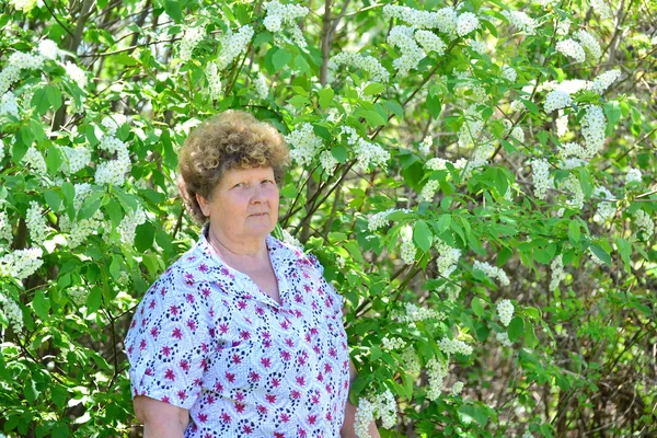 Συλλογισμένος ηλικιωμένη γυναίκα στη φύση την άνοιξη με λουλούδια κεράσι — Φωτογραφία Αρχείου