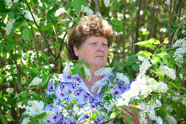 Συλλογισμένος ηλικιωμένη γυναίκα στη φύση την άνοιξη με λουλούδια κεράσι — Φωτογραφία Αρχείου