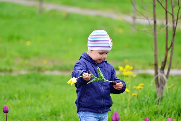 İki yaşında bir kız parkta yürüyüş üzerinde — Stok fotoğraf