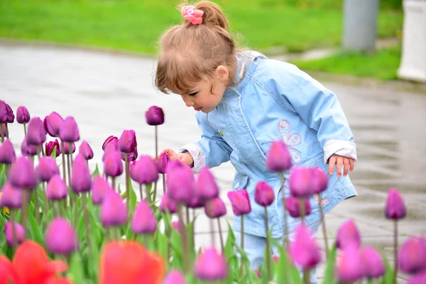 Little girl near the flower beds with tulips — Stock Photo, Image