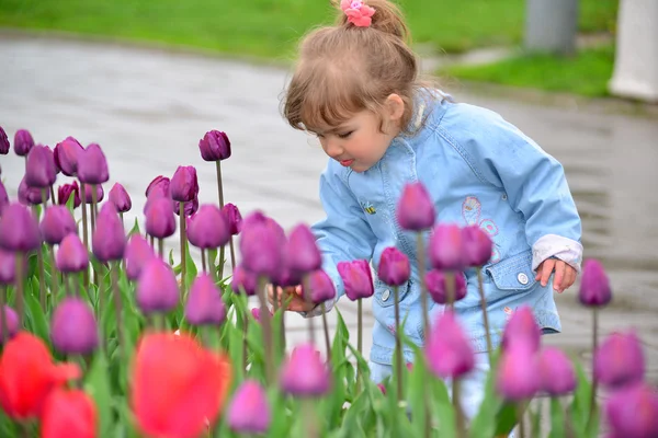 Little girl near the flower beds with tulips — Stock Photo, Image