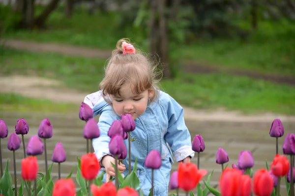 Klein meisje in de buurt van de bloembedden met tulpen — Stockfoto