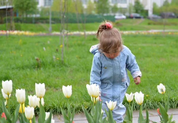 Liten flicka nära blomsterrabatter med tulpaner — Stockfoto