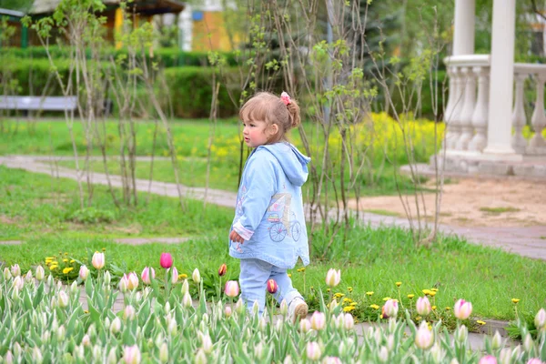 Little girl near the flower beds with tulips — Stock Photo, Image