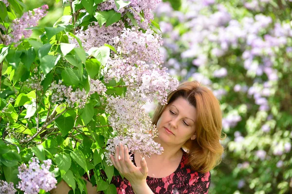 꽃이 만발한 라일락 근처 아줌마 — 스톡 사진
