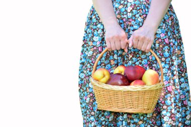 Beyaz arka plan üzerinde meyve sepeti kadınla