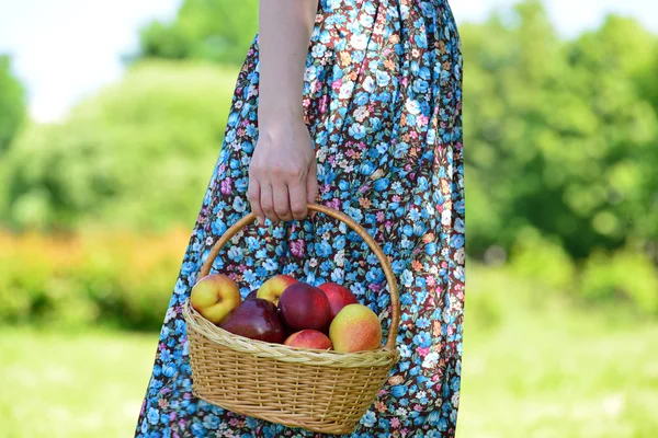 Femme adulte avec un panier de fruits dans le parc — Photo