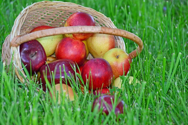 Coș de răchită cu fructe este pe iarbă verde . — Fotografie, imagine de stoc