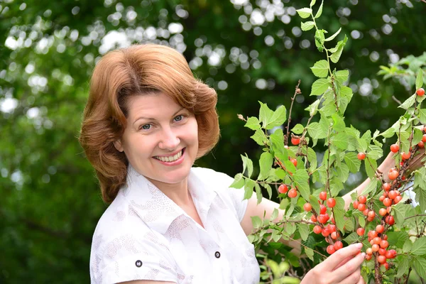 La donna raccoglie ciliegie in un giardino — Foto Stock