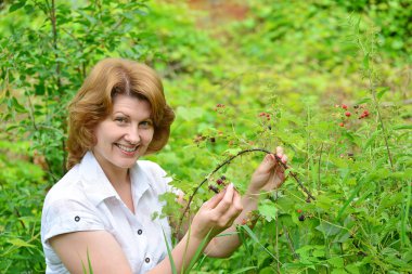 Kadın böğürtlen bahçede bir ürün reaps