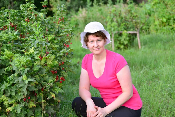 La donna raccoglie un raccolto di ribes rosso in giardino — Foto Stock