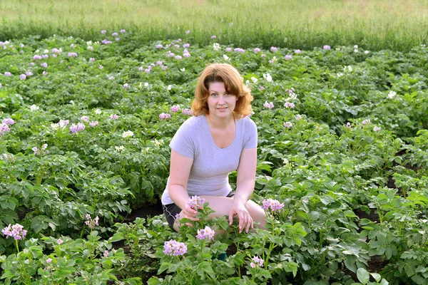 Mujer cultiva patatas en una residencia de verano — Foto de Stock