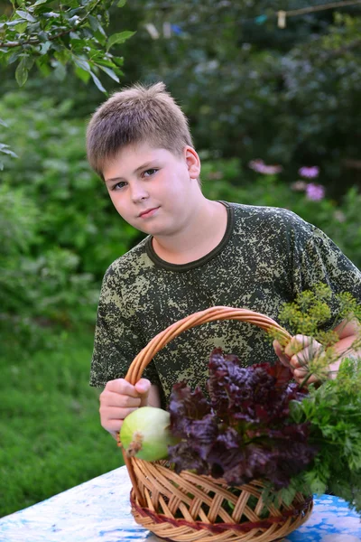 Teen Boy met mandje met verse groenten in de tuin — Stockfoto