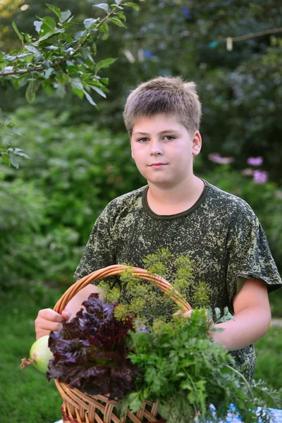 Bahçedeki taze sebze sepeti ile genç çocuk — Stok fotoğraf