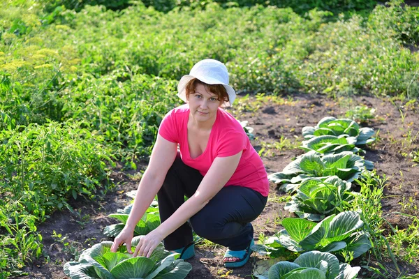 Жінка доглядає за капустою в саду — стокове фото