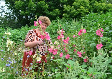 Çiçek açan ebegümeci duran yetişkin kadın