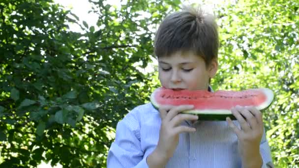 Adolescente chico comiendo sandía en la naturaleza — Vídeos de Stock