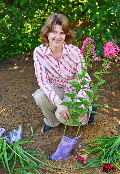 Mujer plantando flores en el jardín — Foto de Stock