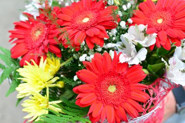 Sarı Krizantem, Kırmızı gerbera buketi
