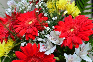Sarı Krizantem, Kırmızı gerbera buketi
