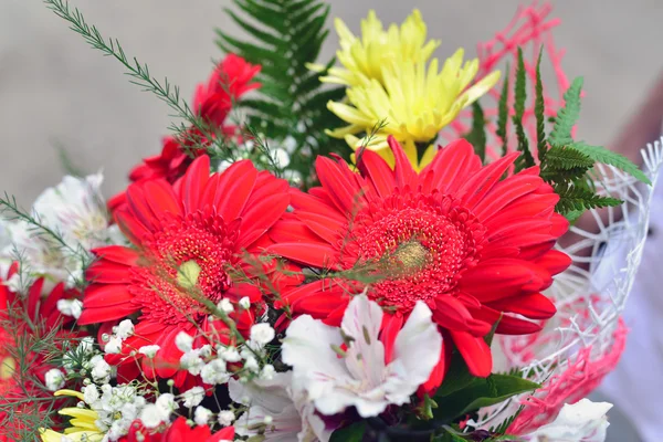 Bouquet de chrysanthèmes jaunes, gerbera rouge — Photo