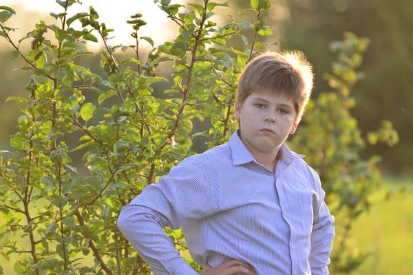 Portrait of a teenage boy in the nature at summer — Stock Photo, Image