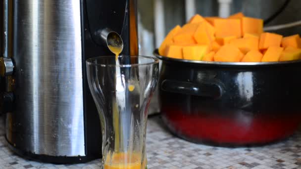Matlagning pumpa juice i en juicepress — Stockvideo