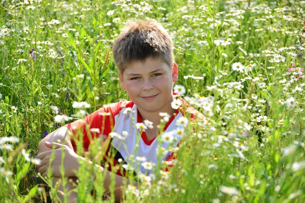 Adolescente menino sentado entre flores do prado — Fotografia de Stock