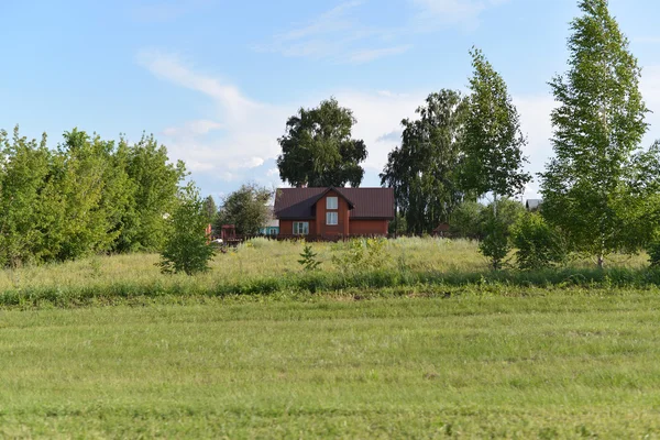 Сельский пейзаж с домом и деревьями — стоковое фото