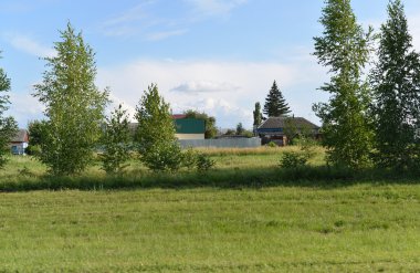 bir ev ve ağaçları ile kırsal manzara