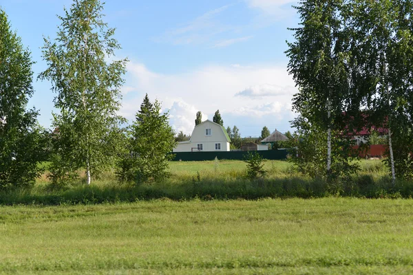 Landsbygdens landskap med ett hus och träd — Stockfoto