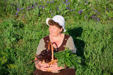  yaşlı kadın ile çiftlikte sebze bir sepeti