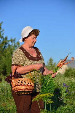 yaşlı kadın ile çiftlikte sebze bir sepeti