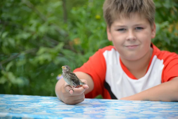 Mladý žlutý zobáček vrabec sedí na dětské dlaně — Stock fotografie
