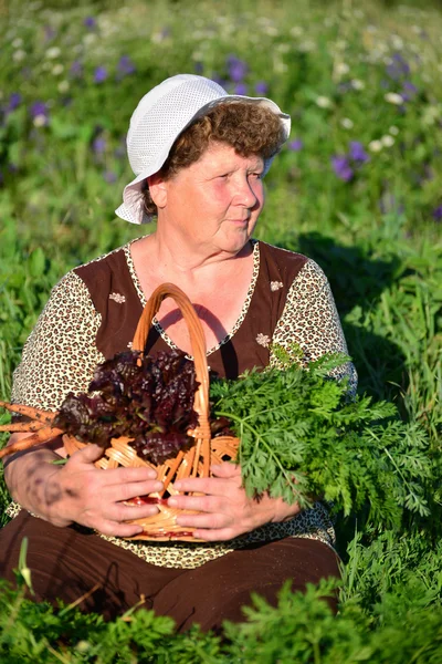 Ältere Frau mit einem Gemüsekorb auf dem Bauernhof — Stockfoto