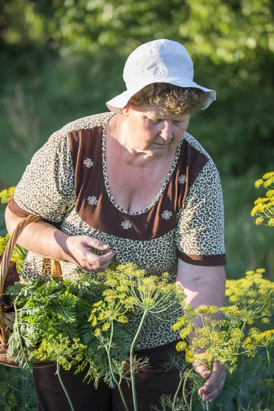 Anciana con una cesta de verduras en la granja — Foto de Stock