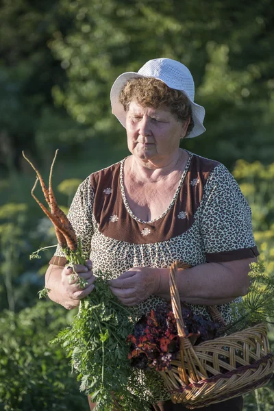 Літня жінка з кошиком овочів на фермі — стокове фото