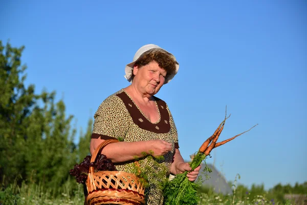 Wanita tua dengan keranjang sayuran di peternakan — Stok Foto