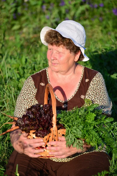 Пожилая женщина с корзиной овощей на ферме — стоковое фото