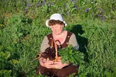  yaşlı kadın ile çiftlikte sebze bir sepeti