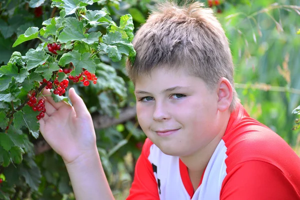 Ragazzo adolescente seduto vicino a un ribes rosso in giardino — Foto Stock