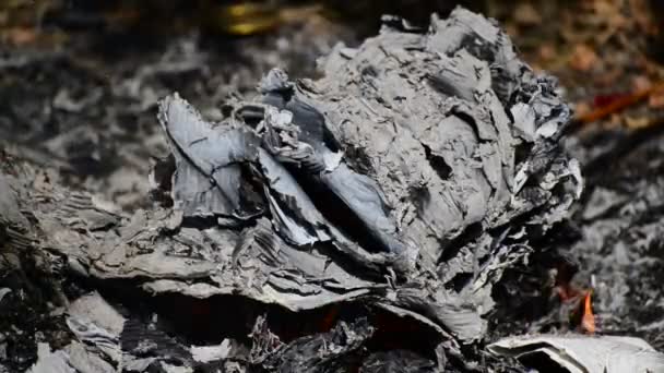 Cendres de papier brûlé 